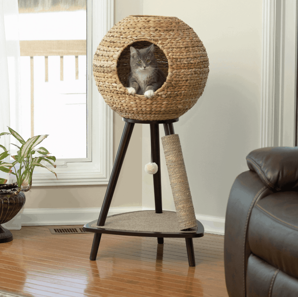 Awesome Cat Furniture Design Ideas