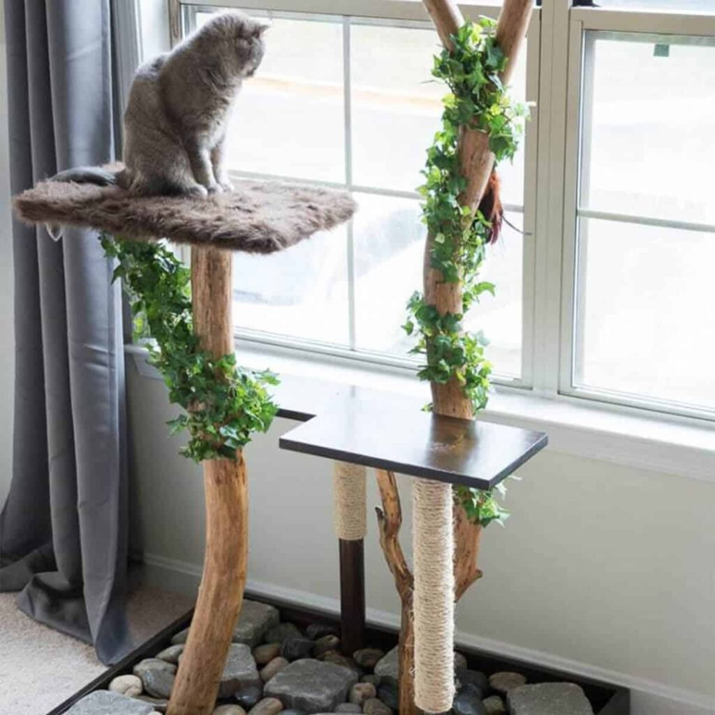 Awesome Cat Furniture Design Ideas