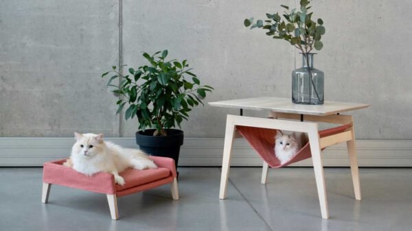 Awesome Cat Furniture Design Ideas