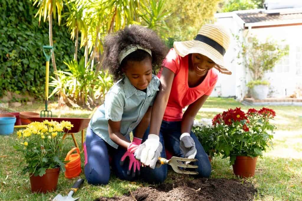 Tips For Gardening For Beginners