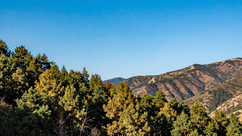 ai photo authenticity verification