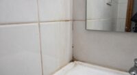 bathroom grime causes and tips