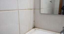 bathroom grime causes and tips