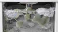 biofilm formation in ice makers