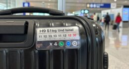 global luggage size standards