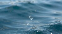 microplastics sources and dispersion