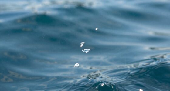 microplastics sources and dispersion