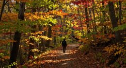 perception of time acceleration