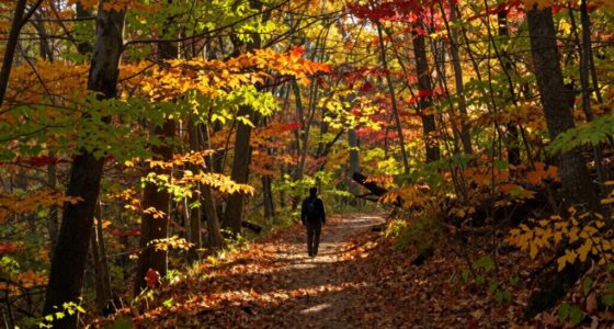 perception of time acceleration