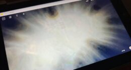 understanding oled burn in