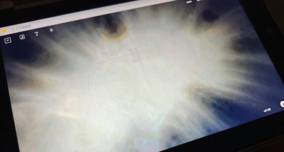 understanding oled burn in