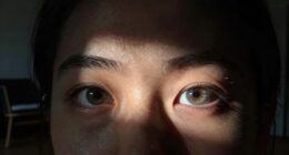 eyes adapt quickly