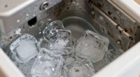 ice maker cleaning frequency