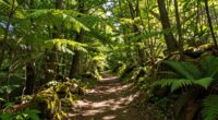 quick walks refresh minds