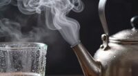 steam vs vapor differences