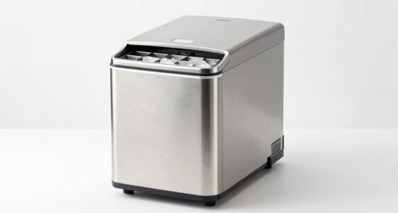 12 Best Best Commercial Ice Maker in 2026