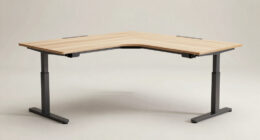 13 Best L Shaped Standing Desk in 2026
