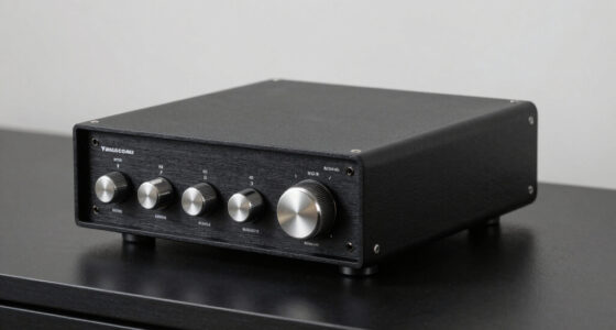 15 Best Integrated Amplifiers in 2026