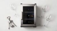 6 Best Best Wine Fridge in 2026