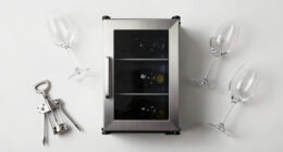 6 Best Best Wine Fridge in 2026
