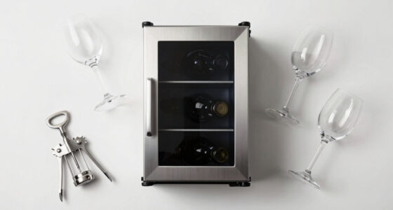 6 Best Best Wine Fridge in 2026