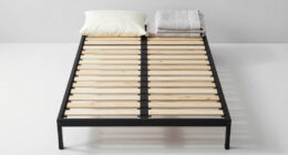 7 Best Adjustable Bed Base in 2026
