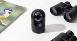 8 Best Smart Bird Feeder Cameras in 2026