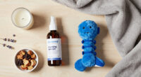 13 Best Dog Calming Products in 2026