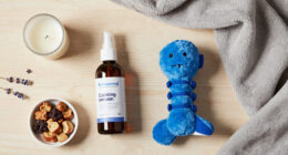 13 Best Dog Calming Products in 2026