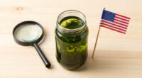 E Pluribus Algae: Why Green Pond Scum Is as American as Red, White and Blue