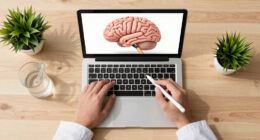 Indian Scientists Produce Most Detailed 3D Atlas Of The Human Brainstem