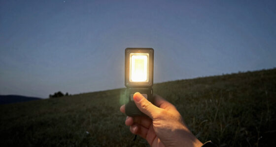 LEDs’ Potential To Save Our Night Skies